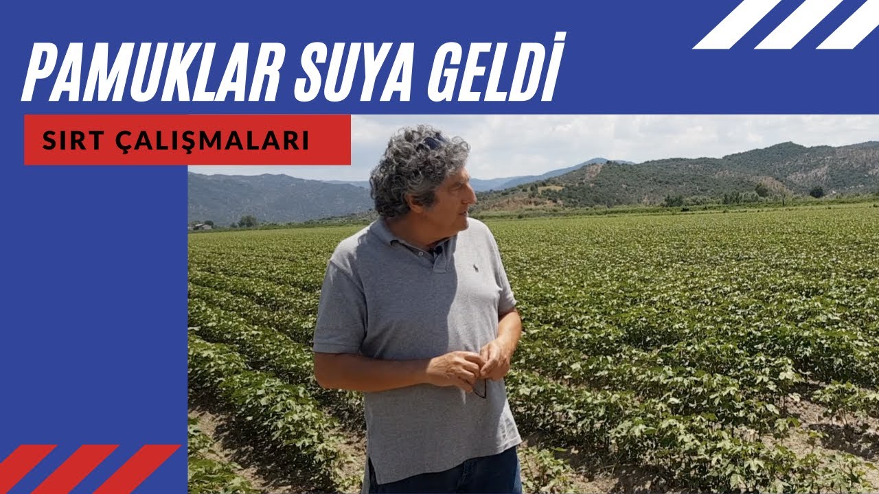 SIRT ÇALIŞMALARI 8 | PAMUK SUYA GELDİ // RIDGE TRIALS 8 | IRRIGATION MANAGEMENT FOR COTTON