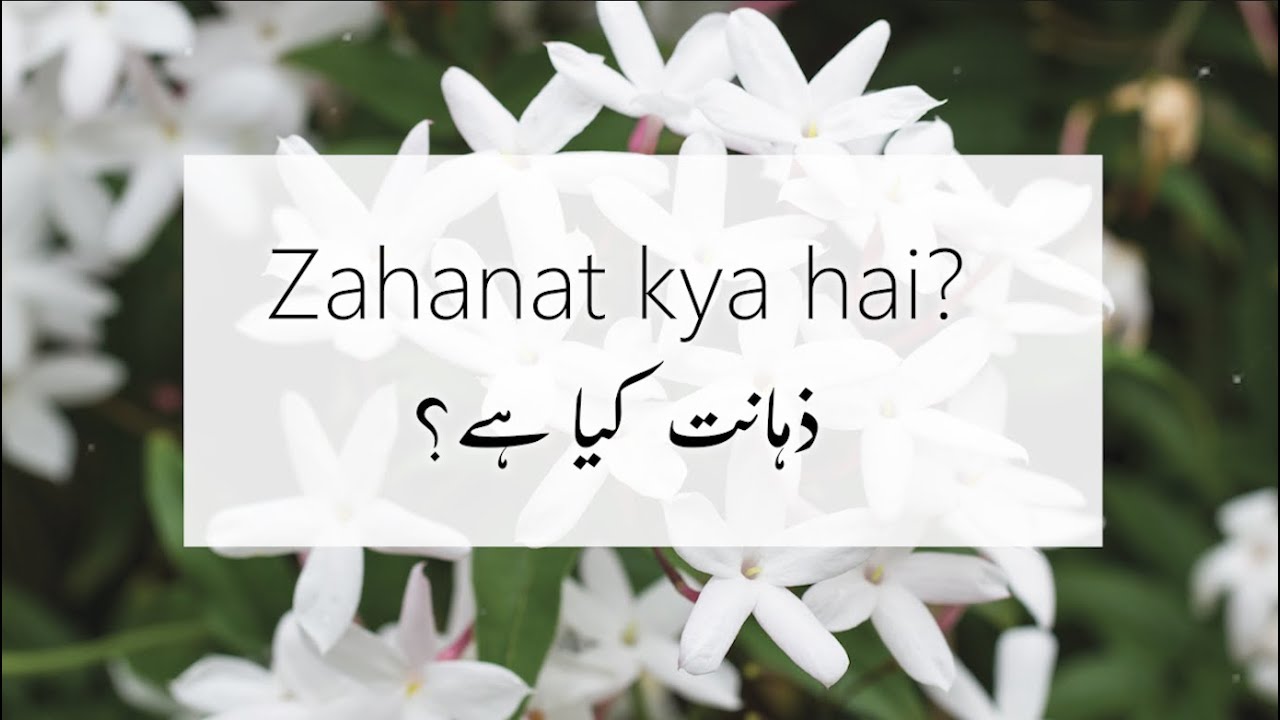 Zahanat kya hai?  | ذہانت کیا ہے؟