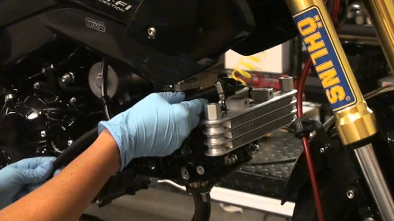 Видео по установке масляного охладителя Kitaco Honda Grom #Hardracing #Grom