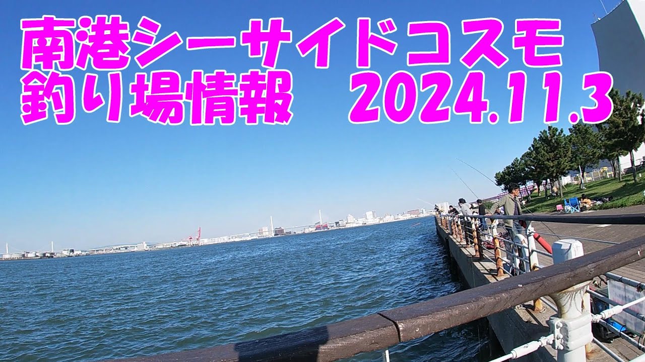 南港シーサイドコスモの2024/11/3現在の釣り場情報