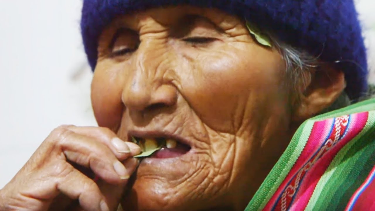 Les Boliviens sont dingues de la coca - ZAPPING NOMADE