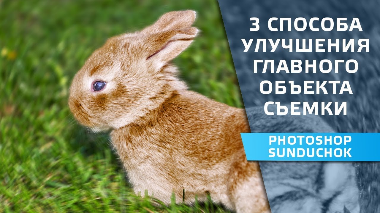 Три способа улучшения основного объекта съемки