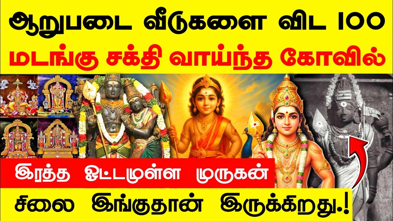 ஆறுபடை வீடுகளை விட 100 மடங்கு சக்தி வாய்ந்த முருகன் கோவில்| powerful murugan temple #murugantemple 
