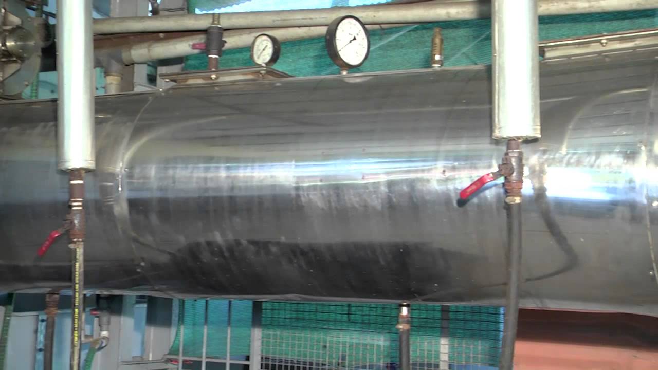 Green Peppercorn (Dried) Processing Technology