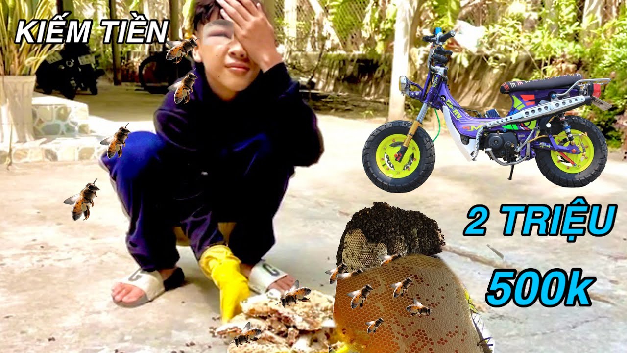 Thử Thách Huy Hoàng Hốt 6 Tổ Ong Mật Bán Kiếm Tiền Mua Xe Đạp Điện Độ 2,5 Trệu |ATK