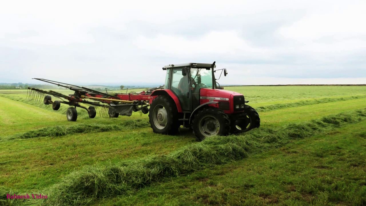 Rowing-Up for Silage with Massey 4255.