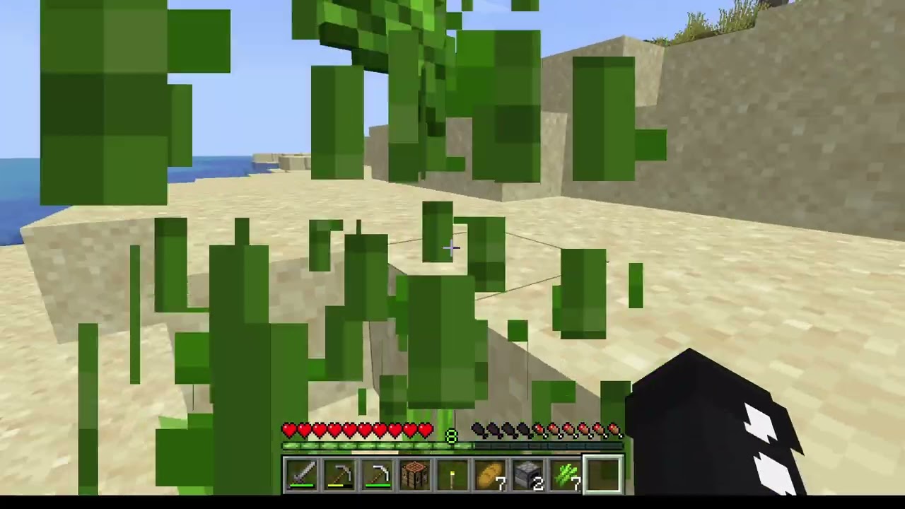 minecraft4