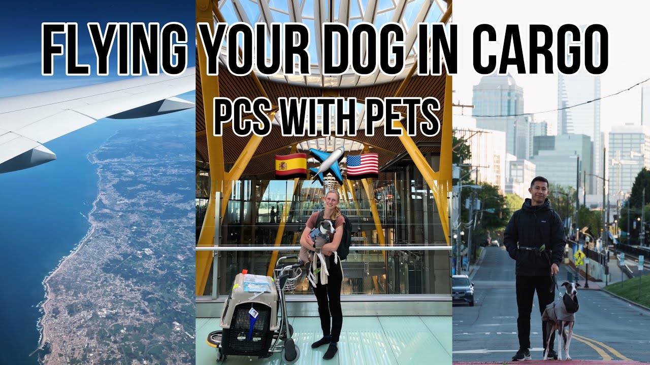 Flying your dog in cargo | PCSing overseas with pets | moving from Europe to the U.S. with our dog