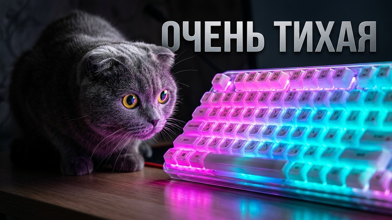 Mofii Crystal Arc, тихая клавиатура в подарочной упаковке. Луна проверила, очень тихая.