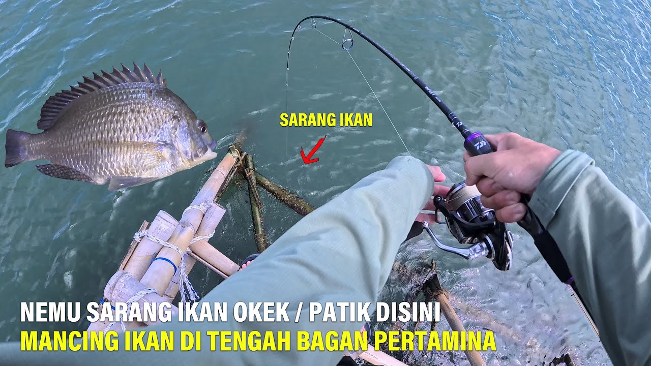 Strike BERTUBI-TUBI Saat Cuaca Mulai Panas || Mancing Ikan Di Bagan Idung Pertamina || Mancing Gaes