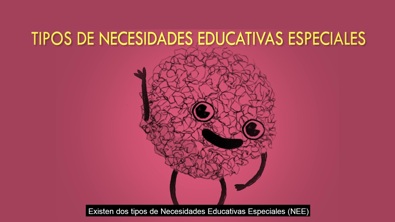 ¿Qué son las Necesidades Educativas Especiales (NEE) asociadas a una discapacidad?