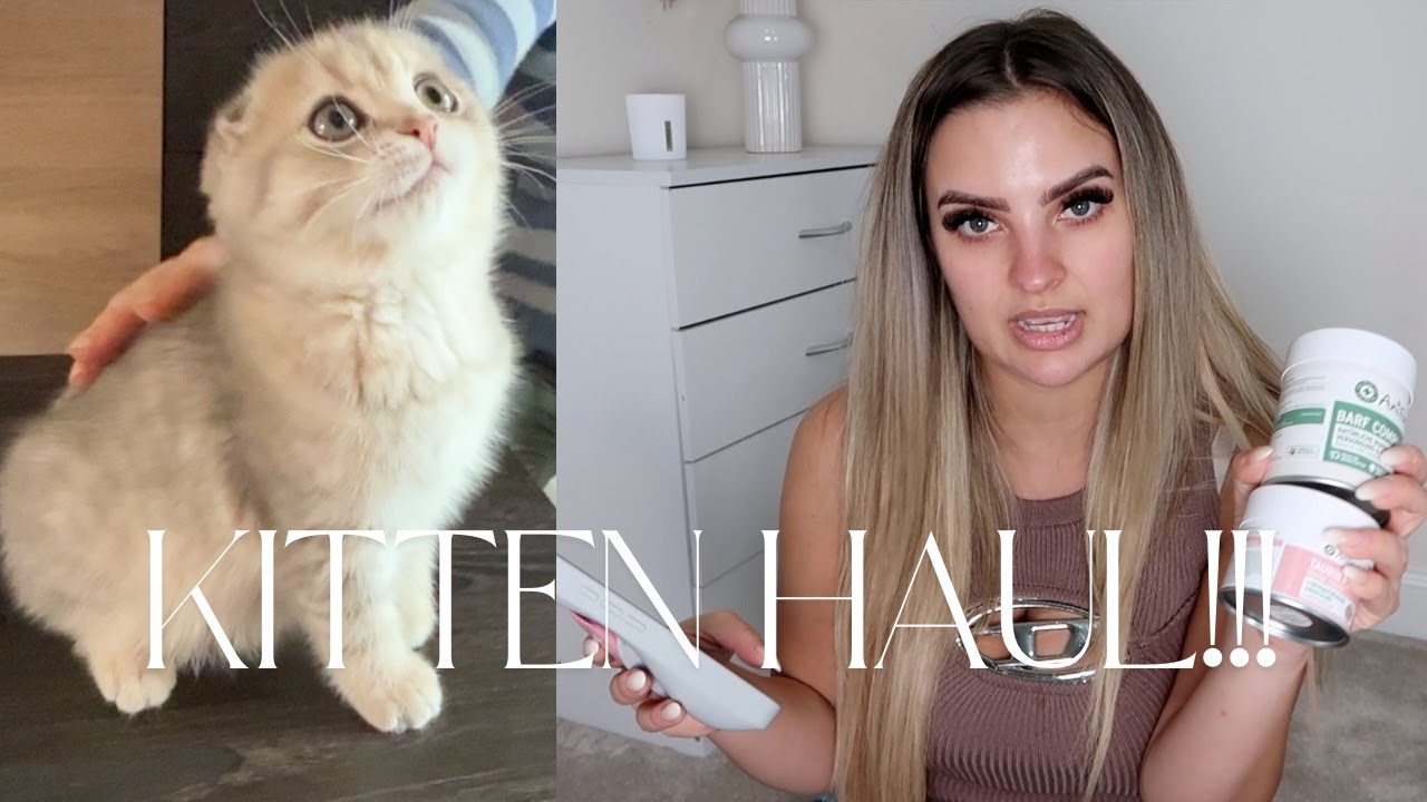 KITTEN HAUL | WHAT I BROUGHT FOR MY KITTEN!!