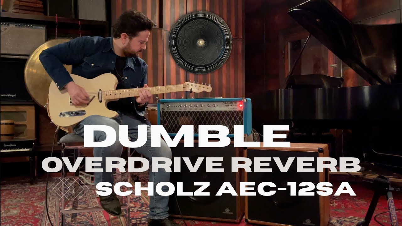 Dumble Overdrive Reverb + Audio Eyra's 12-SA by Scholz