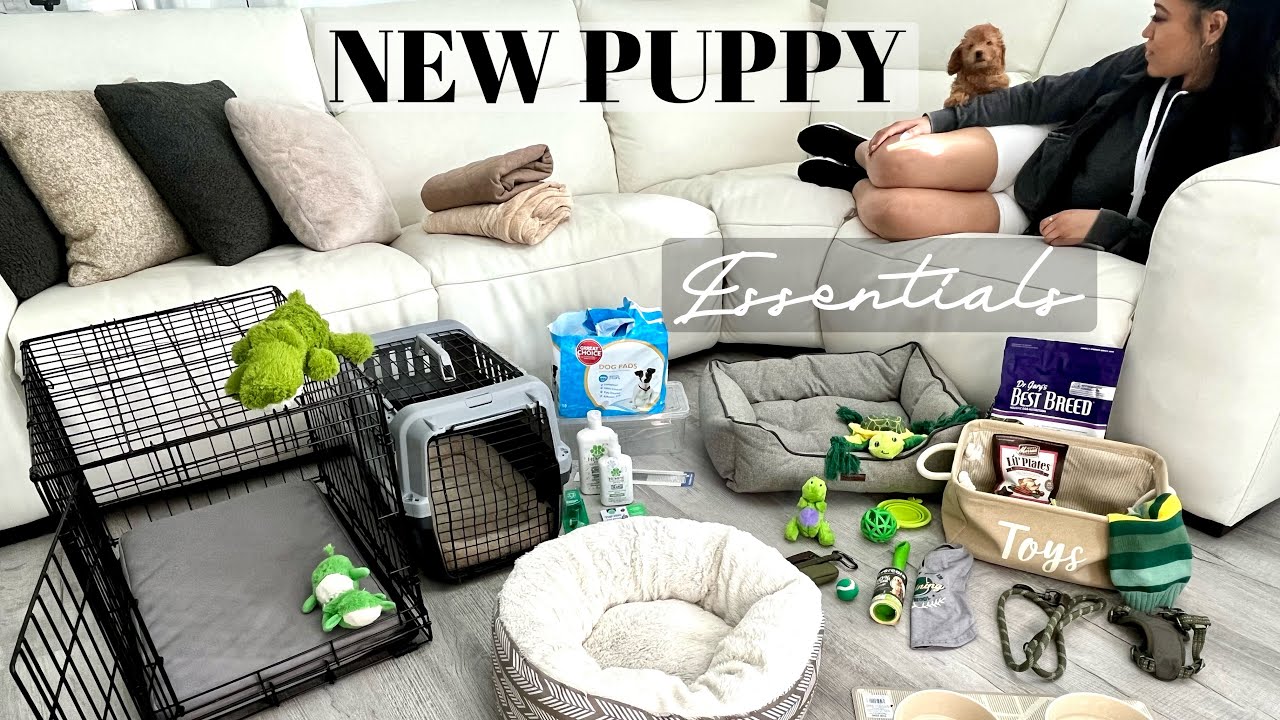 NEW PUPPY ESSENTIALS Haul 🐾  EVERYTHING You Need For a TOY POODLE 🐶 Aesthetically Pleasing
