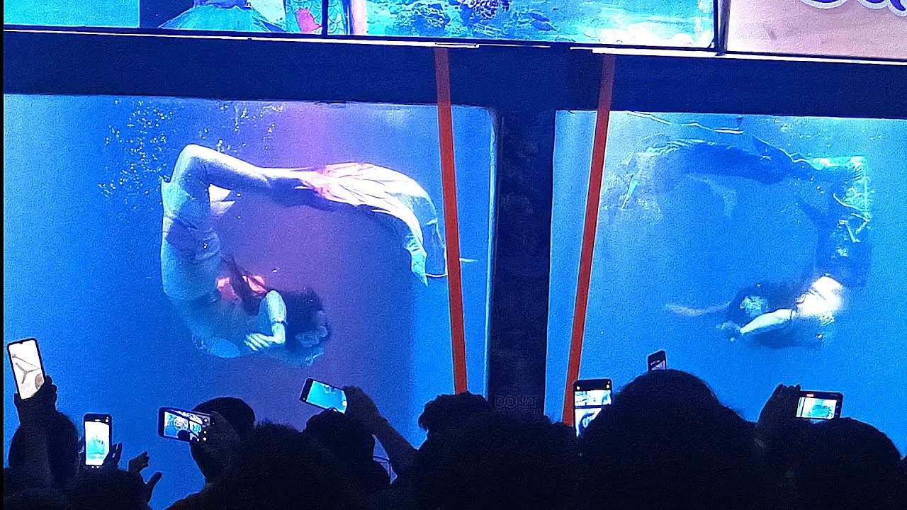 Ocean world carnival Agartala, Tripura 2026 ! Jalpari