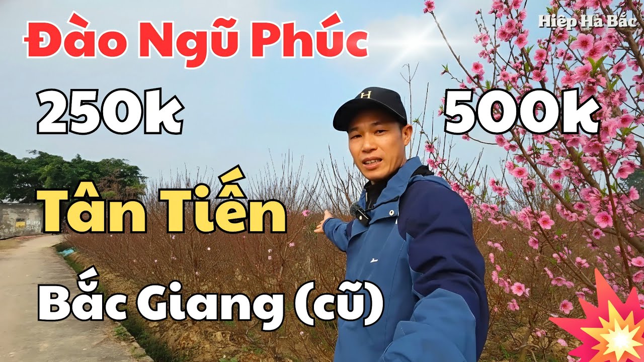 Hiệp Hà Bắc | Lạc vào Thủ phủ 