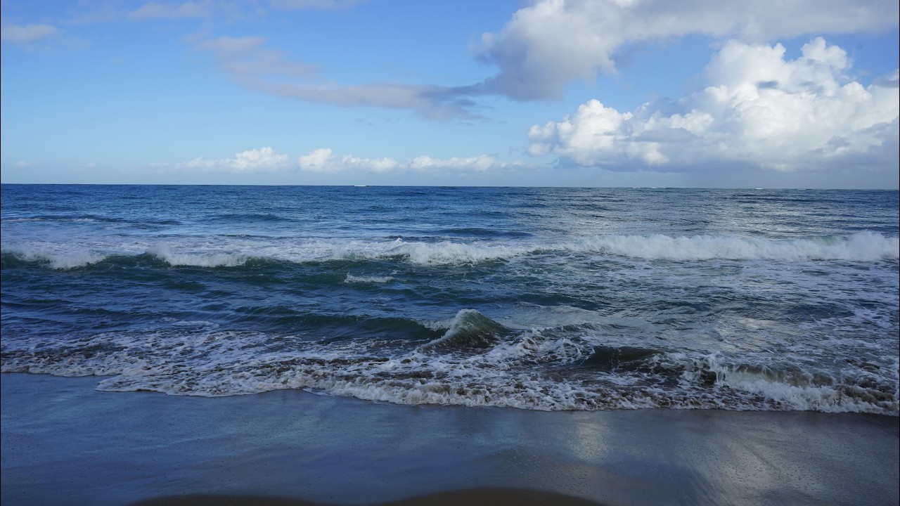 Beautiful Sunny Caribbean 🌞🌊 | Relaxing Daytime Sea Sounds