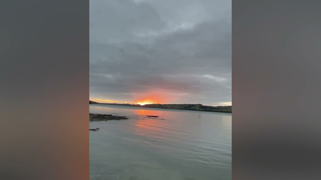 Tinopai NZ
