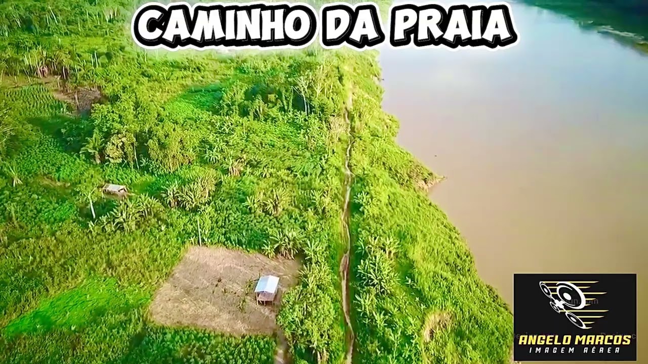 Do Porto de pauini Am ao caminho da praia.