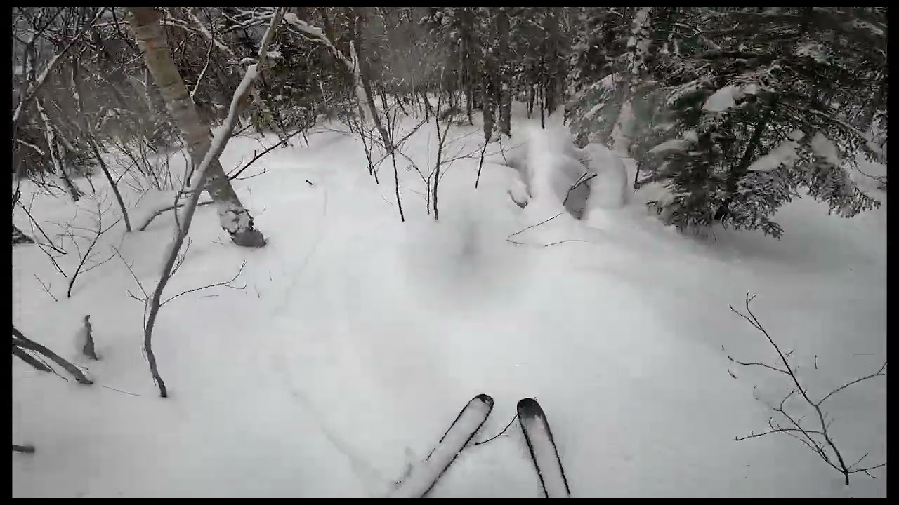 Skiing giant killer and shredding poma woods at Pico