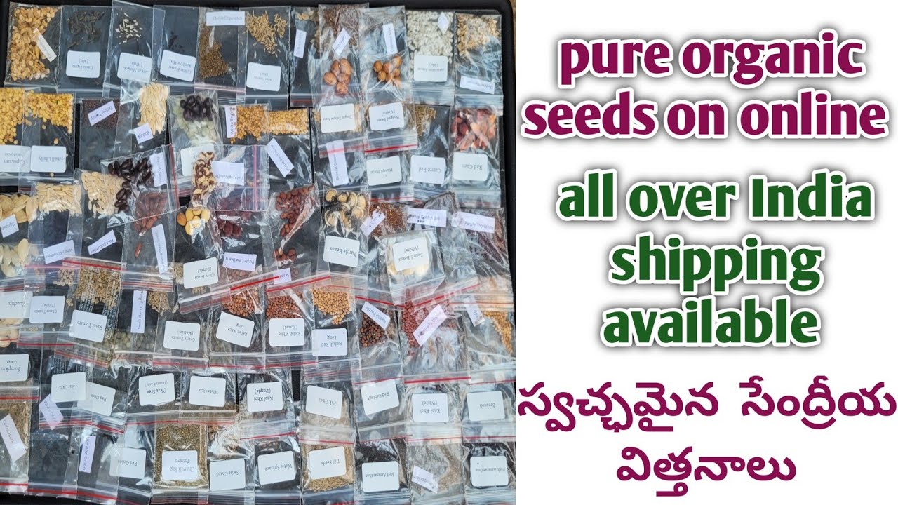 desi seeds | buy online seeds | buy organic seeds |  vegetable seeds online | flower seeds online
