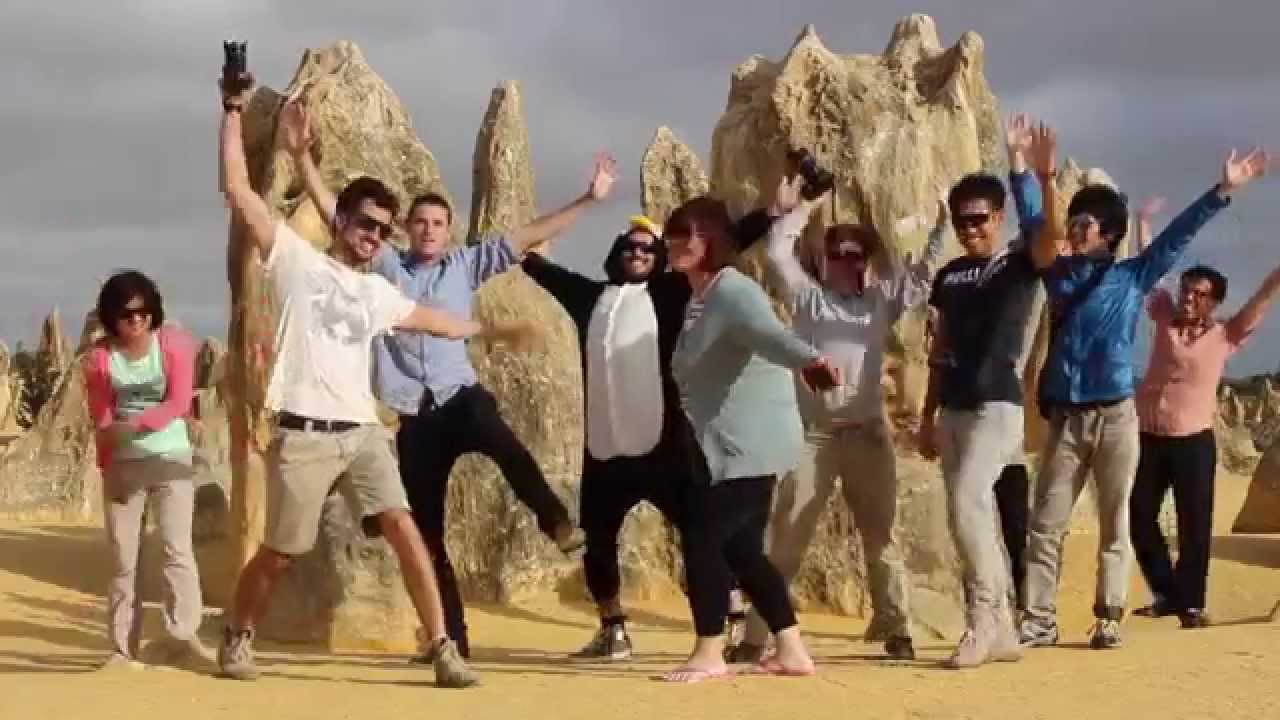 You Got To Love WA: Sand Boarding Lancelin and Pinnacles Desert.