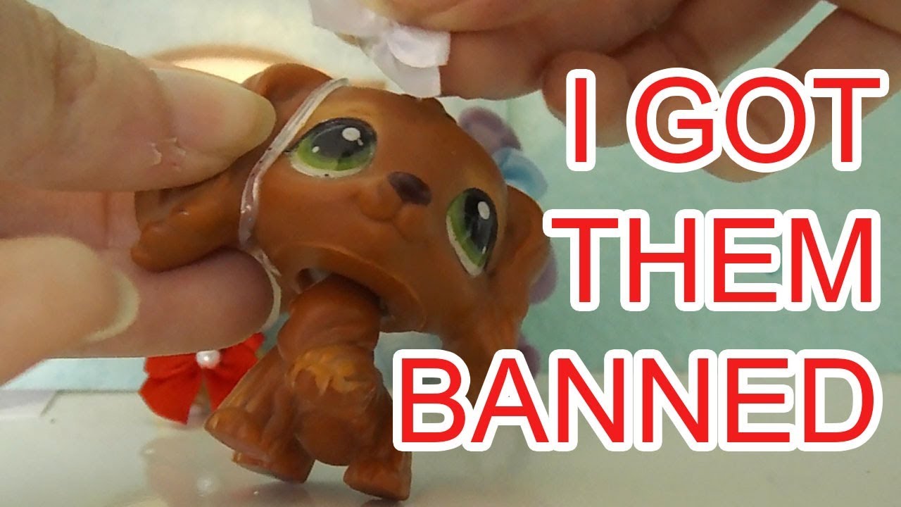 I WAS SCAMMED… TWICE! 💸 Reviewing the LOWEST RATED LPS Etsy Shops