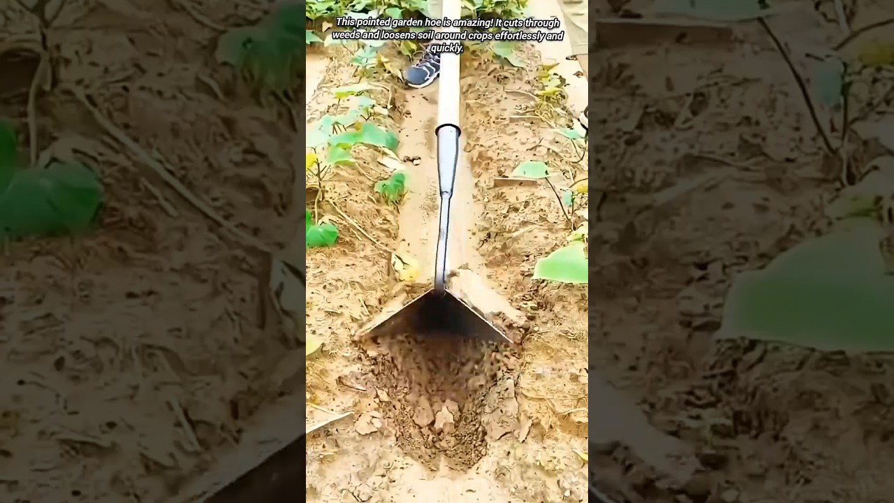 Innovative and Fast Weeding Tool is Amazing 👏 #weeding #tool