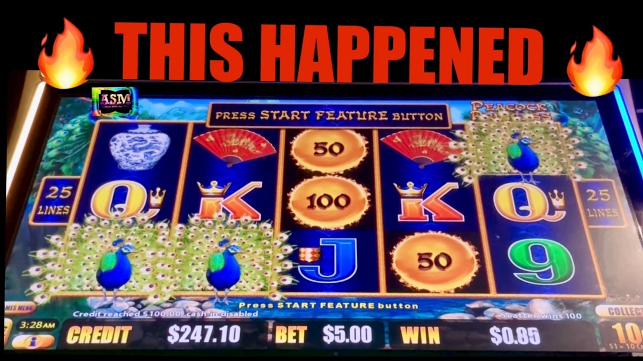 🔥 THIS HAPPENED 🔥 PEACOCK PRINCESS DRAGON LINK SLOT MACHINE 🎰