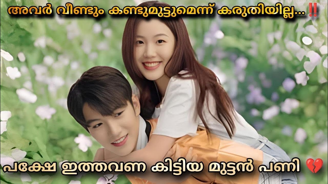 The name in my heart chineese romantic movie malayalam explanation ❤️🥰
