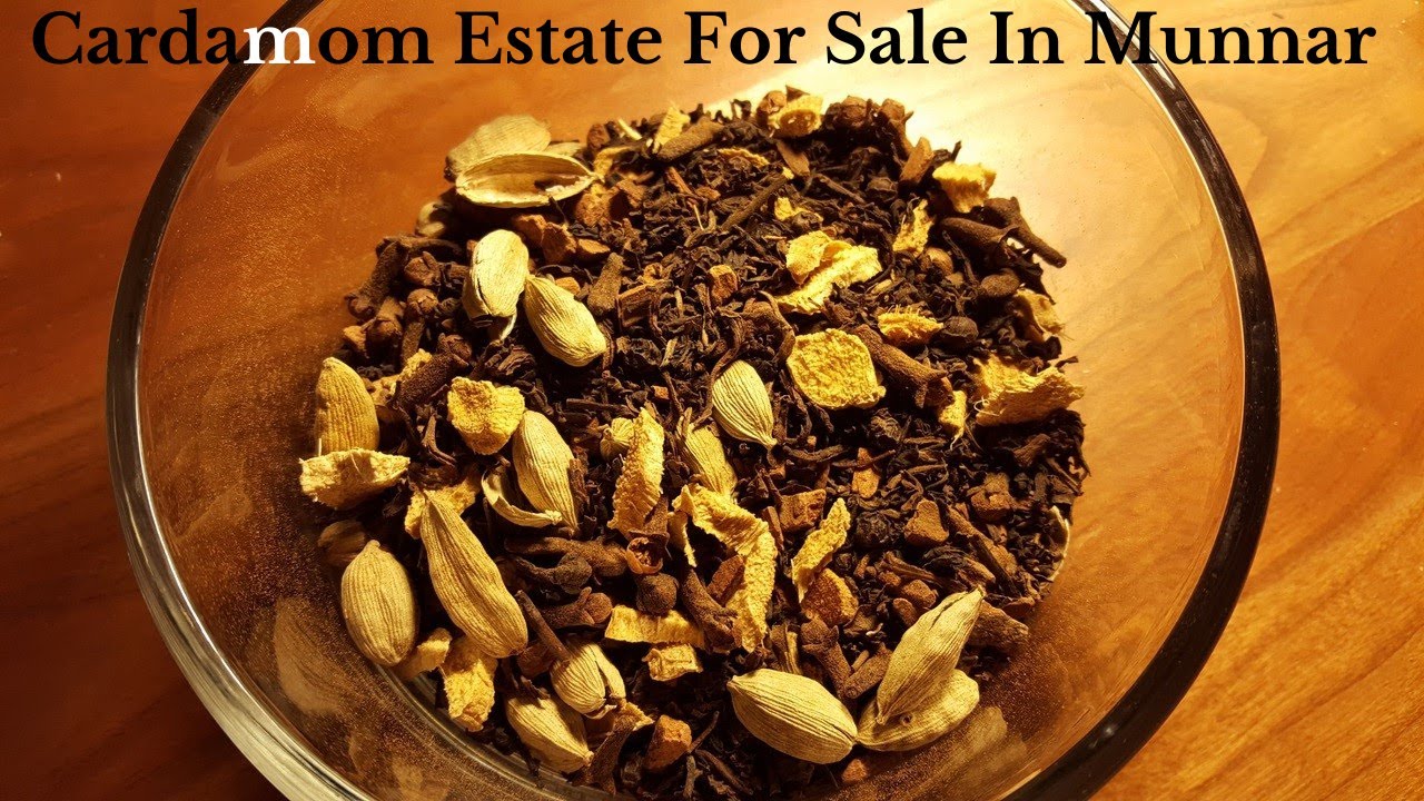 Cardamom Estate For Sale In Munnar | Cardamom Garden For Sale