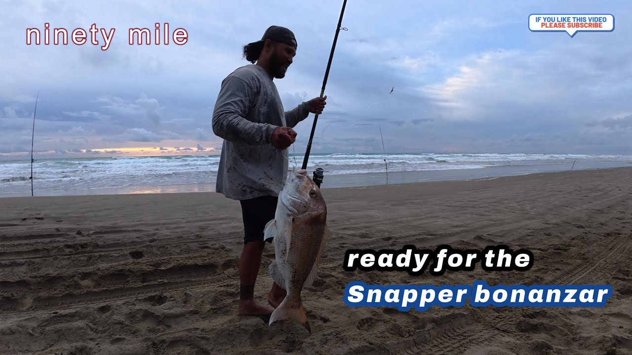 Checking out the 90's for the Snapper Bonanza!
