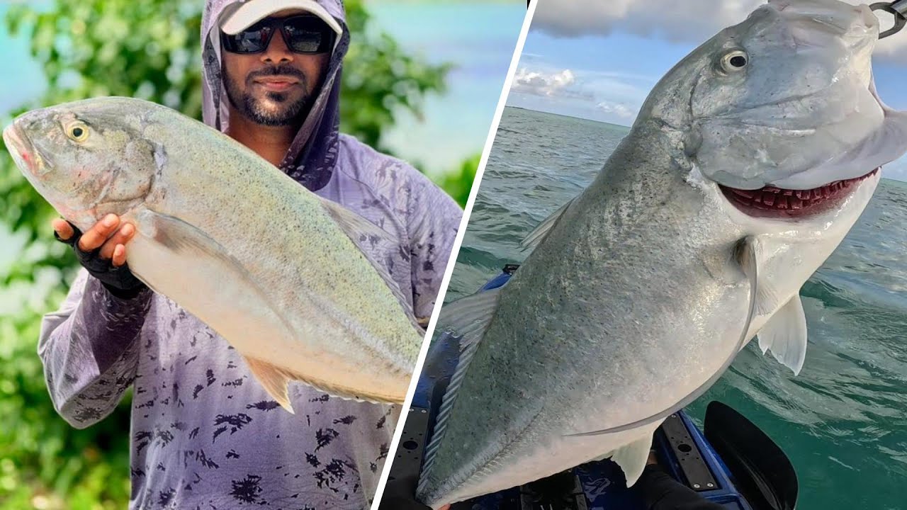 Amazing fight with this 10lbs Jack on Kayak- Fishing Mauritius 2026