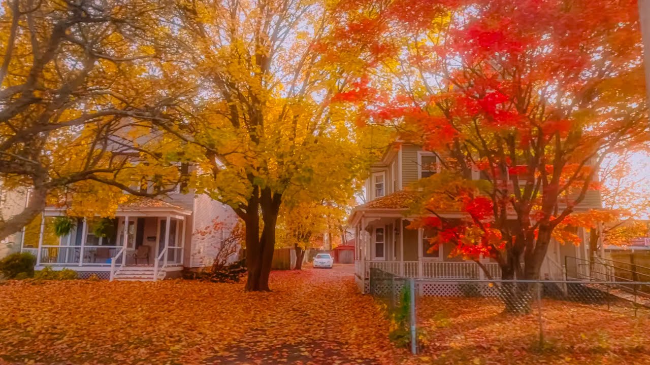Fall Road Trip Massachusetts | Beautiful Autumn Scenery in 4K from Left Passenger Seat - Pt 3; Ep 3