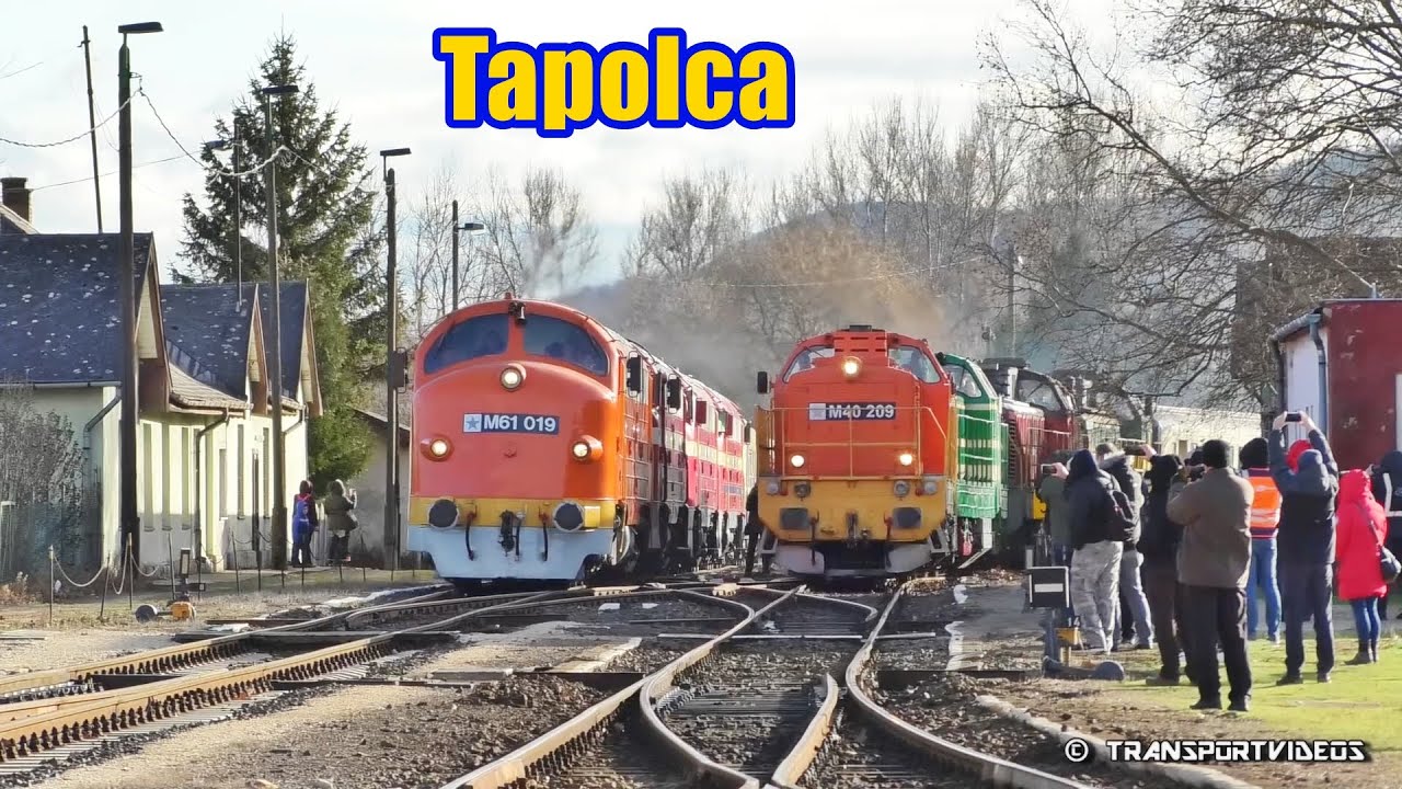 2019.12.28. - Négyes Nohab és négyes Púpos fogathajtás Tapolcán