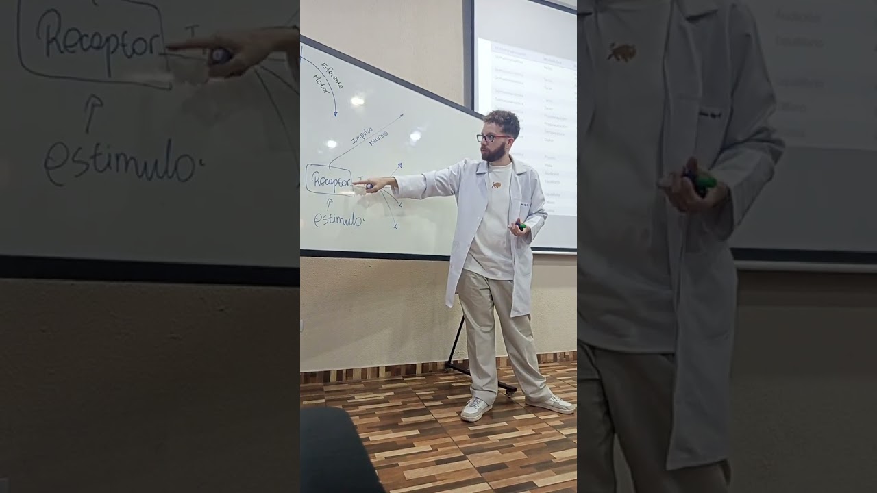 Fisiologia II - sensitivo 1/2 