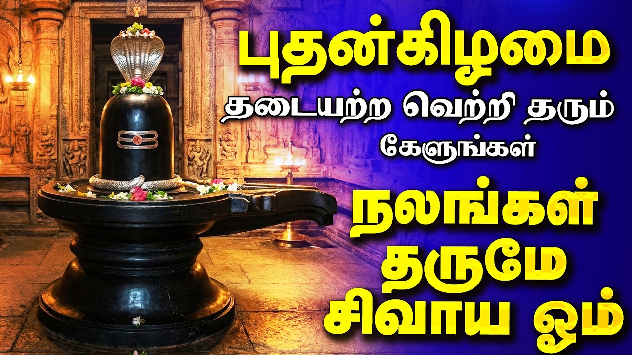 🔴LIVE SONGS | வெள்ளிக்கிழமை கேட்க வேண்டிய நலன்கள் தருமே சிவாய ஓம்  சிவன் பாடல் SivanTamil Song