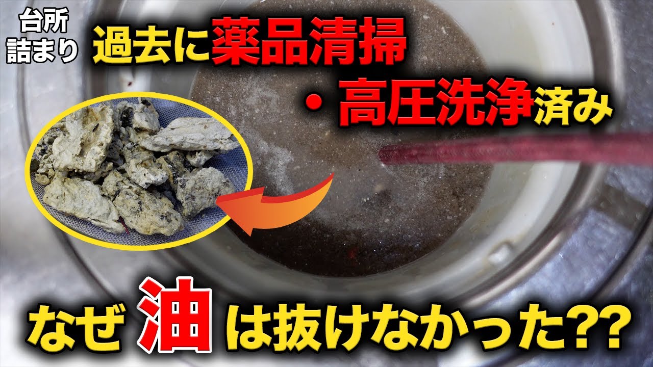排水管は油でパンパン！？過去に薬品清掃、高圧洗浄したのになぜ？？【花のお掃除 #275】