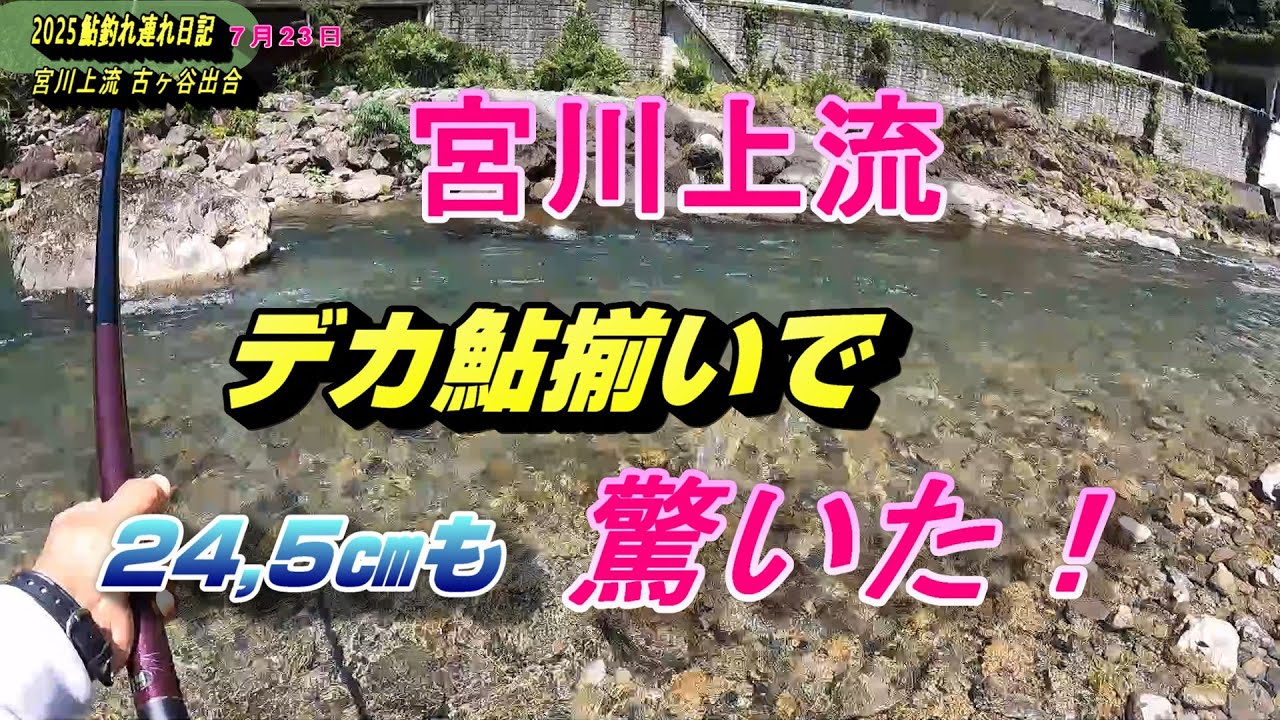 2025 07 23宮川上流古ヶ谷出合（岩井トンネル）下