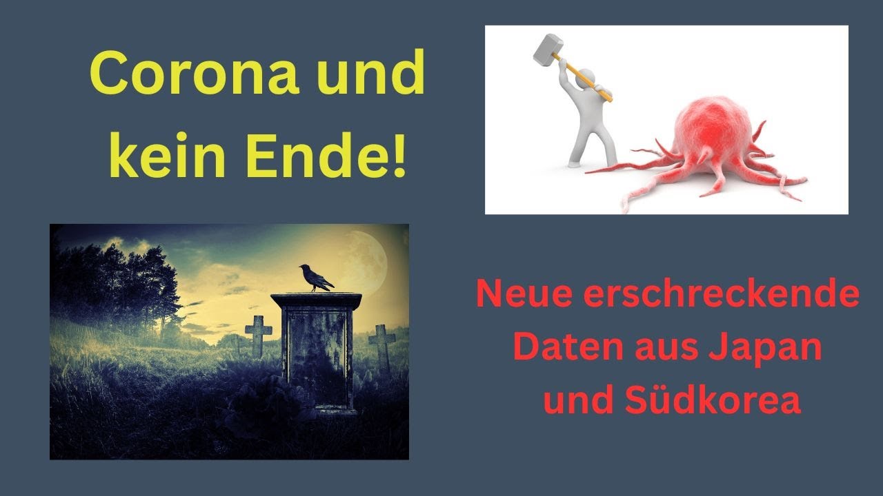 Corona und kein Ende! Neue erschreckende Daten aus Japan und S&uuml;dkorea - Spa&szlig; mit Statistik 26