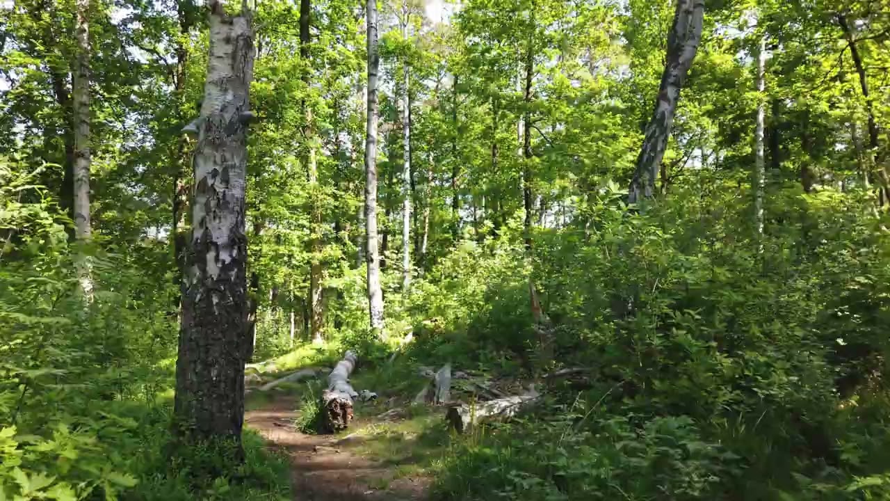 Is AI the future of development?