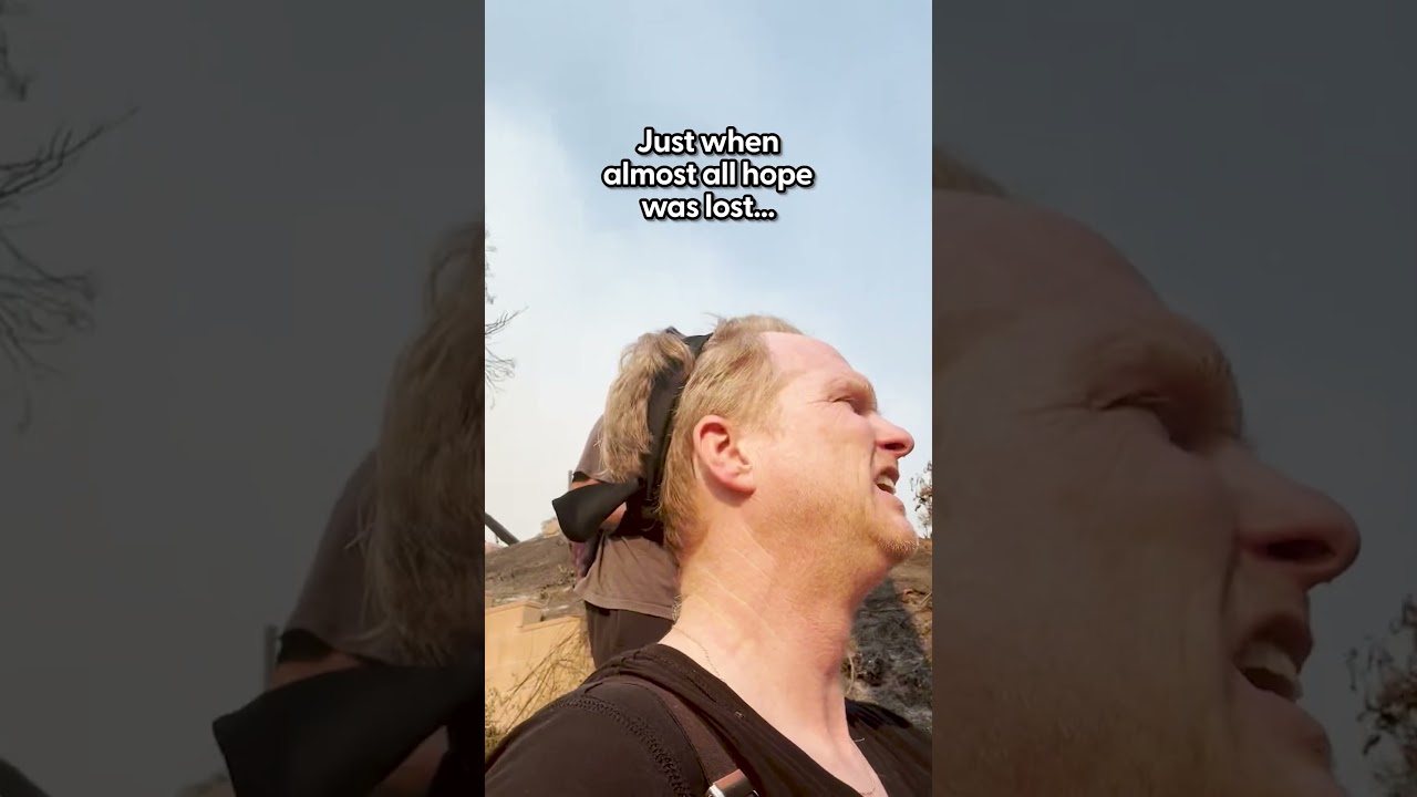 Man Reunites With Lost Dog After Palisades Fire | The Dodo