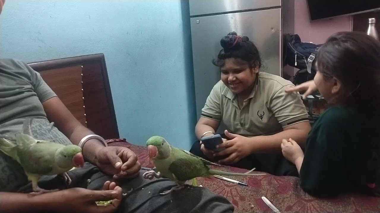 #sare matder kharab kar di mummy ne kiya gussa parrot par