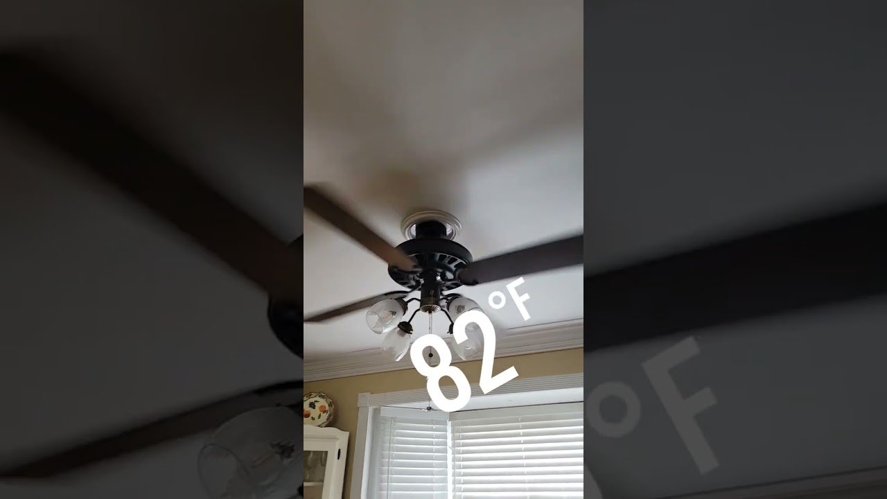 It's Fan Season!!!!!!
