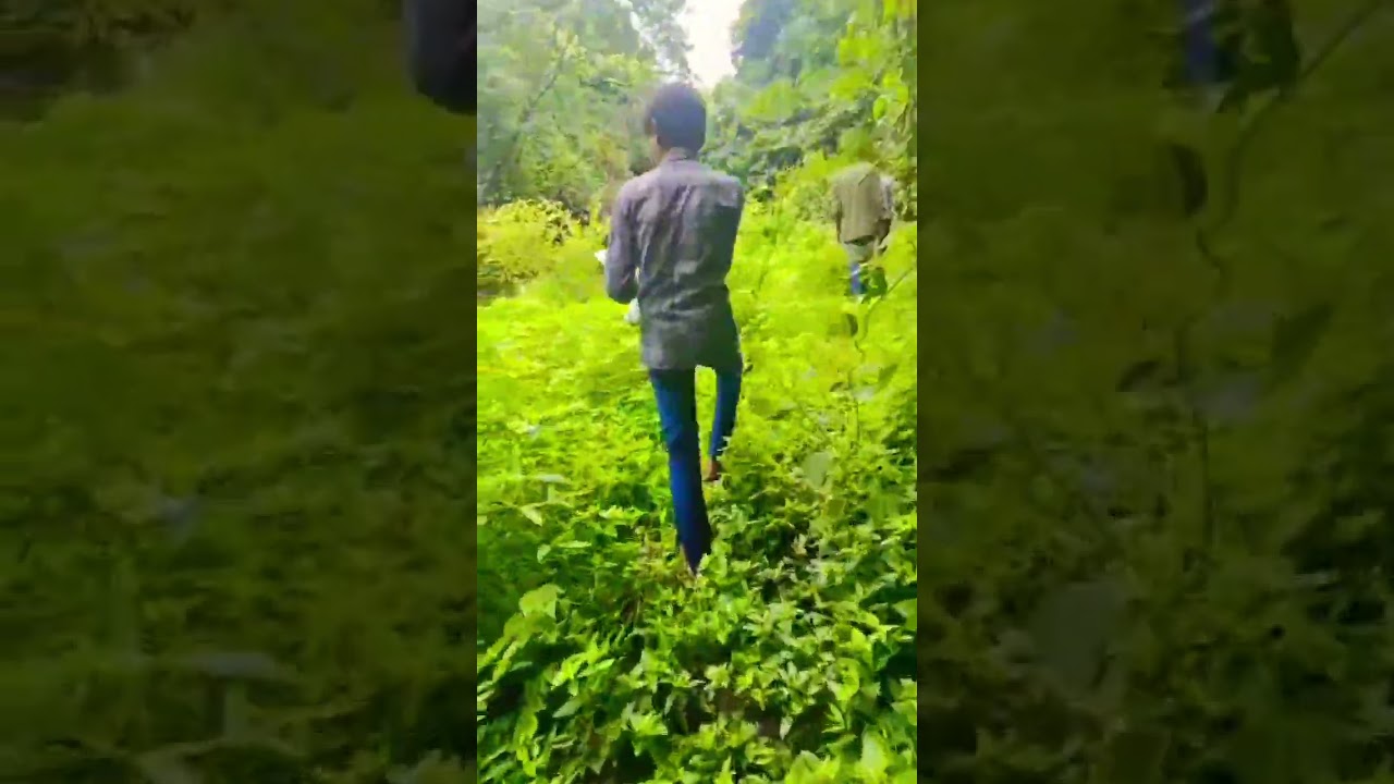 gandi gir aavo najaro jova mate gandi gir aavvu pade ho