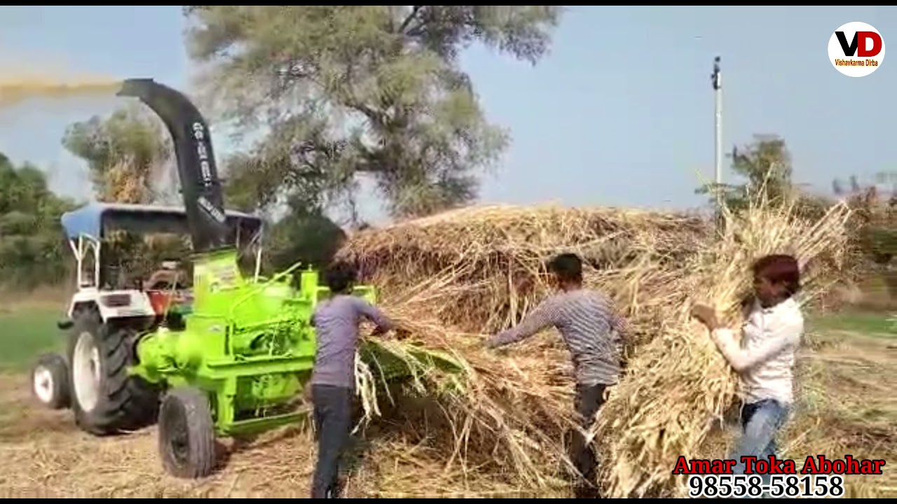 Amar Toka Abohar wood chiper machine/ champ cutter machine working