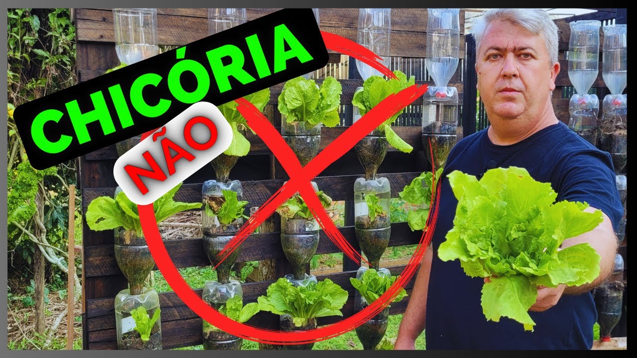 GARRAFAS PET EM HORTA VERTICAL | CULTIVOS QUE FUNCIONAM E QUE NÃO FUNCIONAM