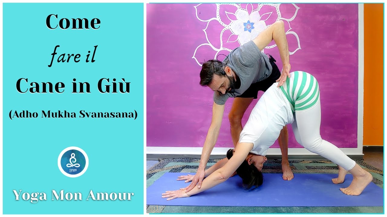 COME FARE IL CANE A TESTA IN GIU' / Impara Adho Mukha Svanasana / Lezione di Yoga per Principianti