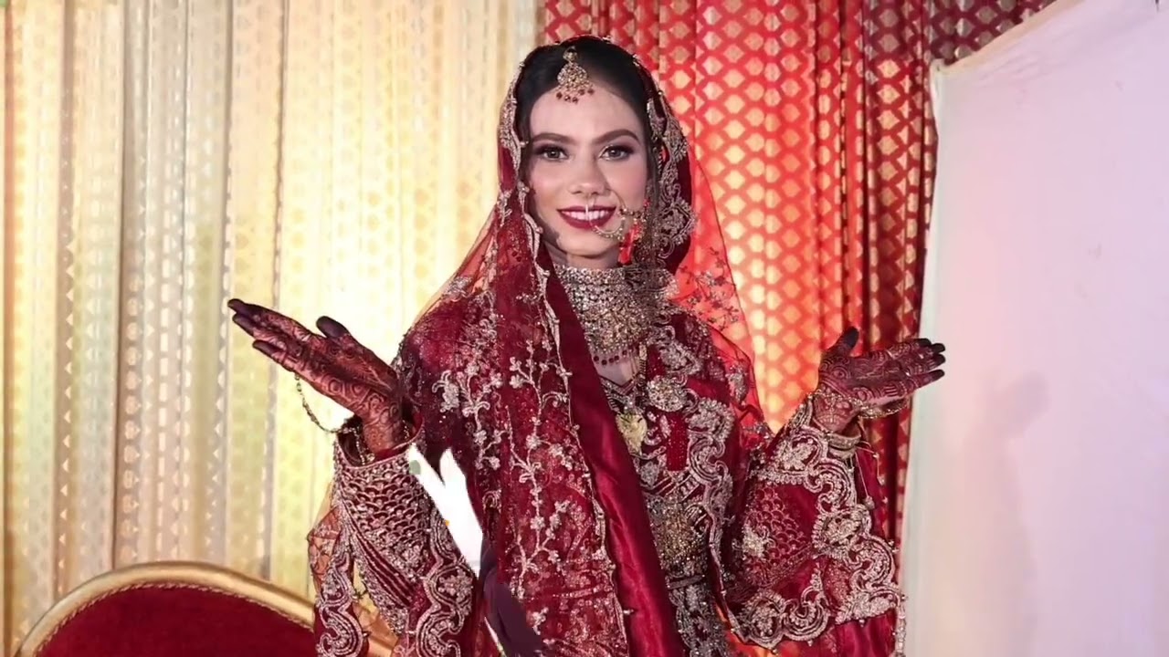 Wedding highlights 