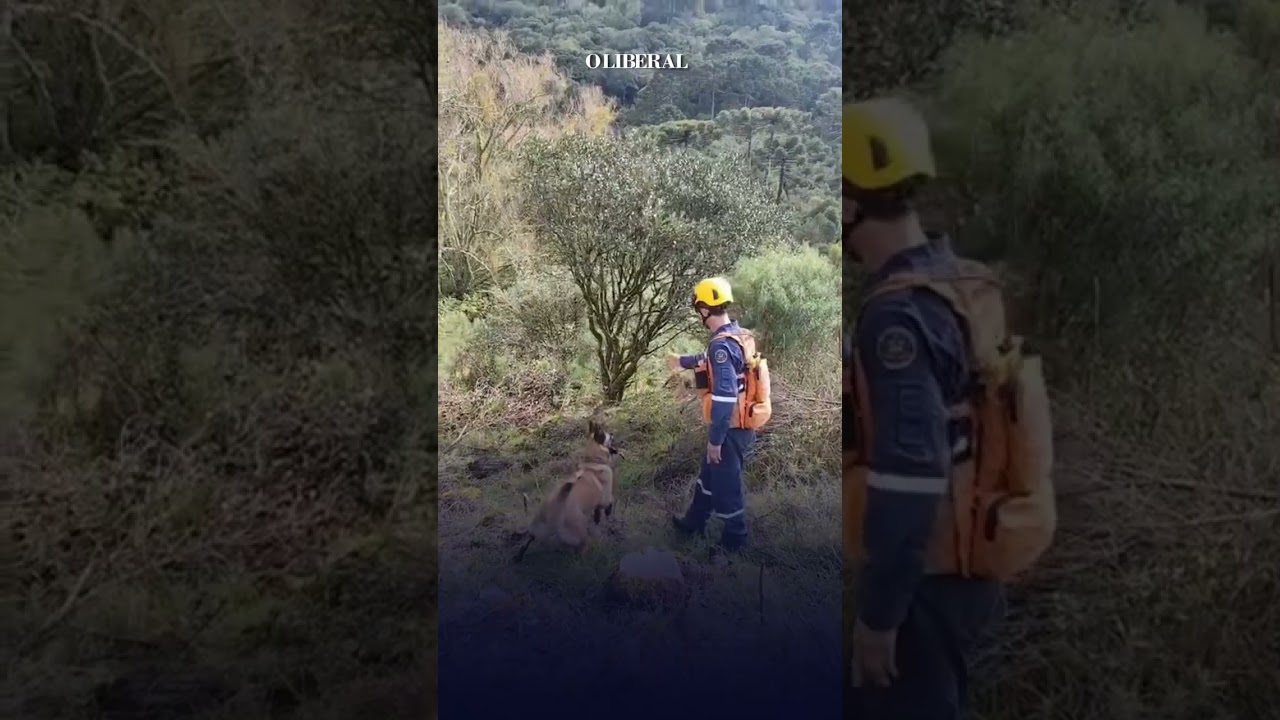 Helic&oacute;ptero que levava cantor Rick &eacute; encontrado; veja v&iacute;deo dos destro&ccedil;os